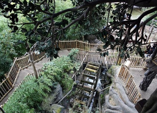 la cabane de robinson disneyland paris attraktion